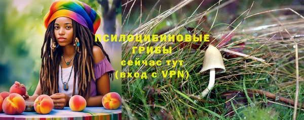 mdpv Балашиха
